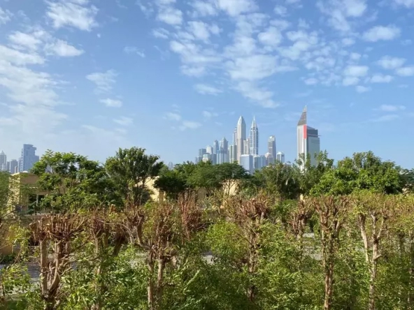 bluechip real estate