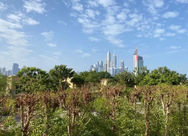 bluechip real estate