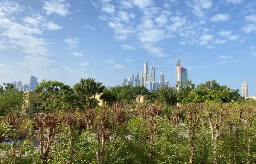 bluechip real estate