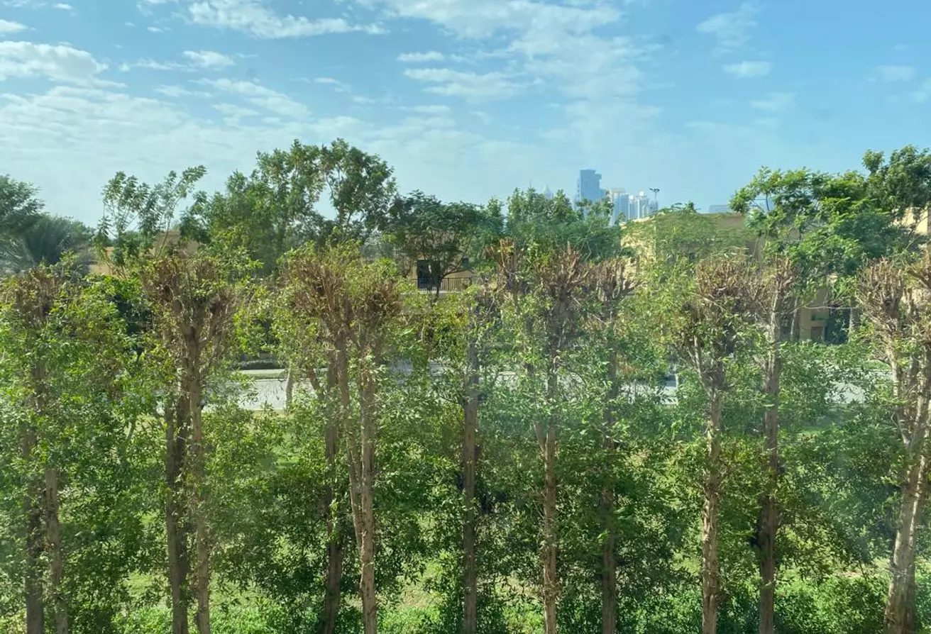 bluechip real estate