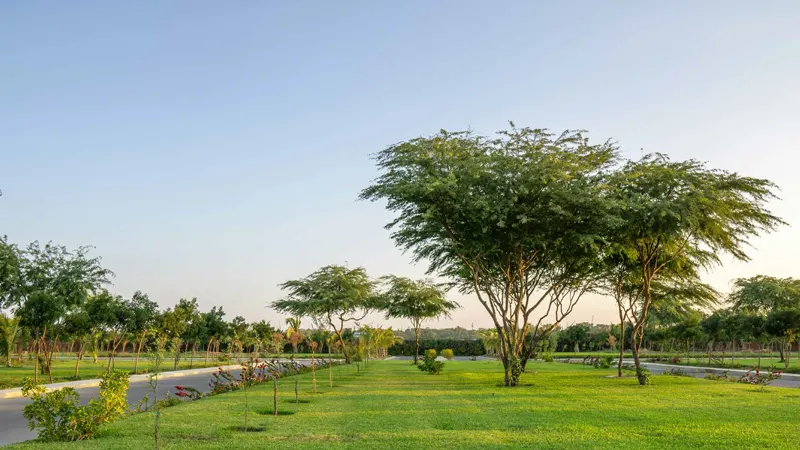 Lush Green Surroundings
